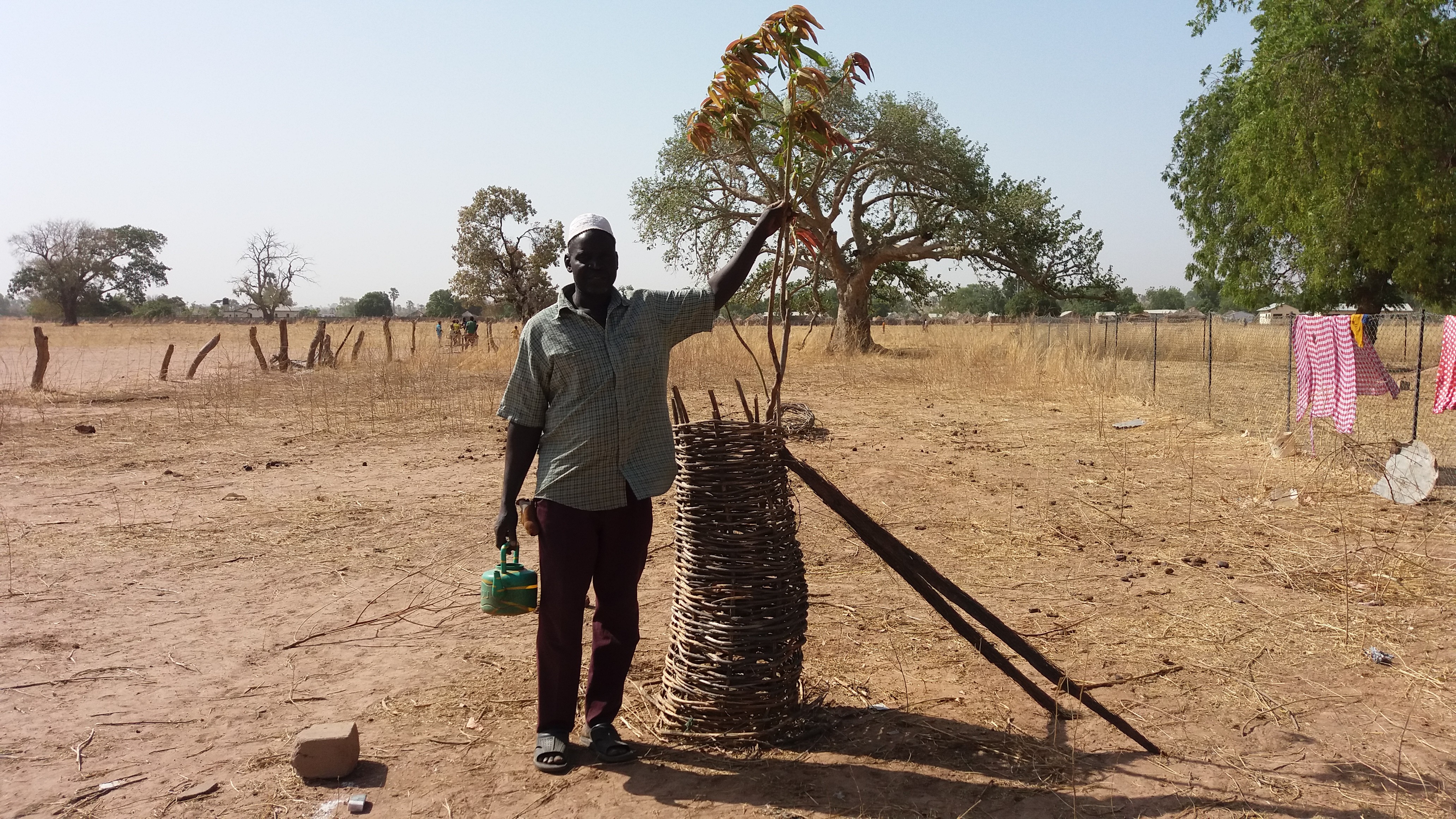 Donate Trees! Reforest the Future, The Gambia Chuffed Nonprofit